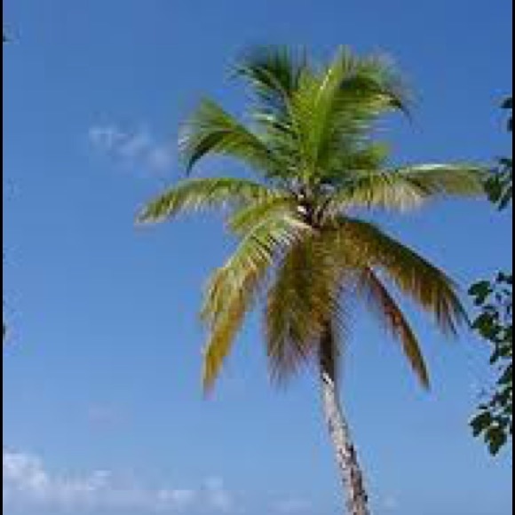 Meet your Posher, Chris - Picture 1 of 1